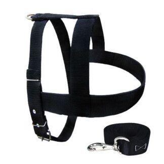 Peitoral resistente para Grande Porte